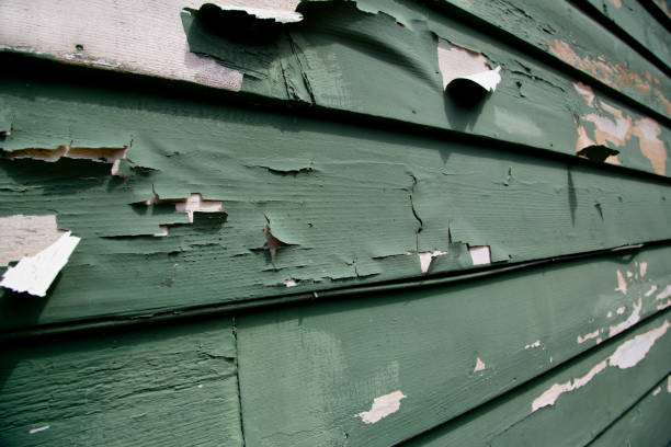 Best Residential Vinyl Siding Installation  in Carolina Beach, NC